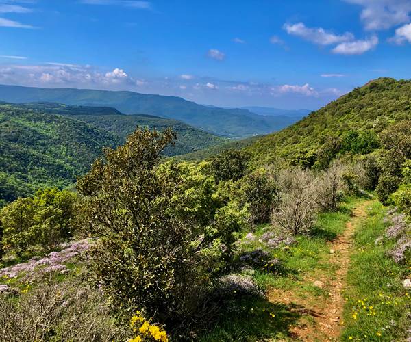 randonnée dans les Corbières
