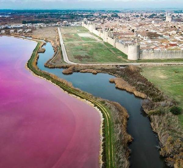 aigues_mortesa2_d_but_de_l_excur