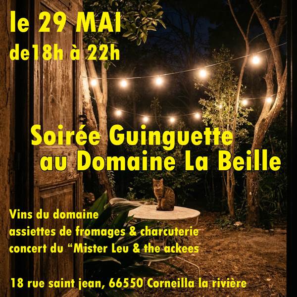 soirée guinguette-photo-gallery
