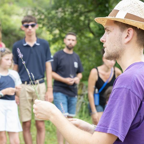 Randonnée dans les lavandes-photo-gallery