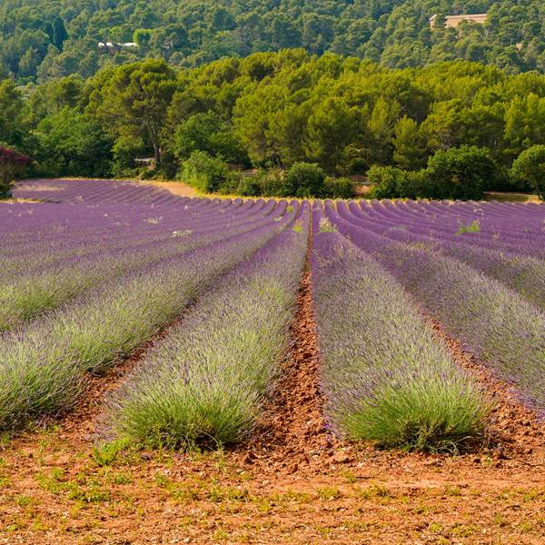 _DSC7323_DxO copie-photo-gallery