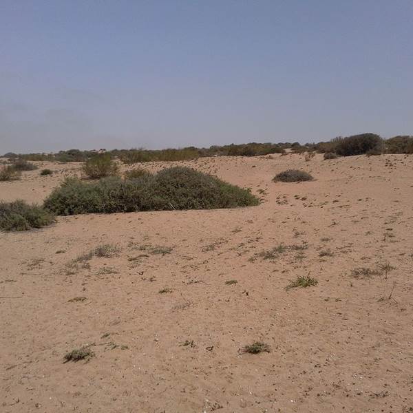 PARC_DE_MASSA-photo-gallery