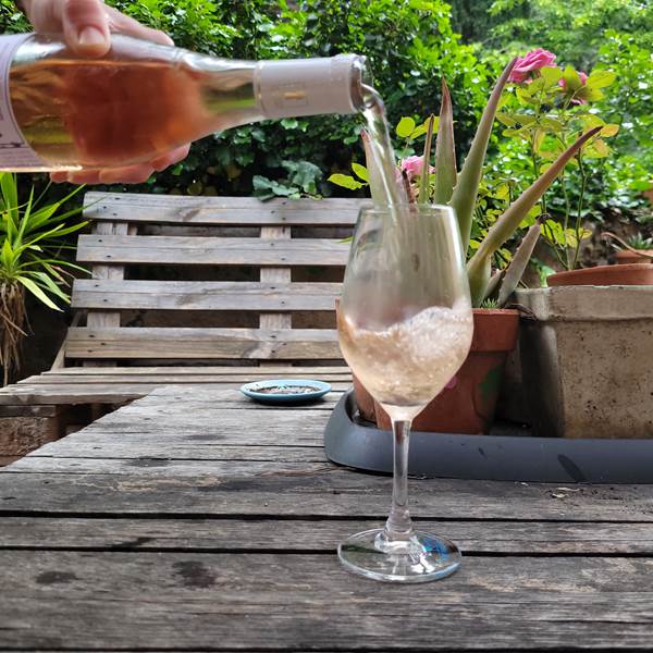 dégustation commentée domaine la beille-photo-gallery