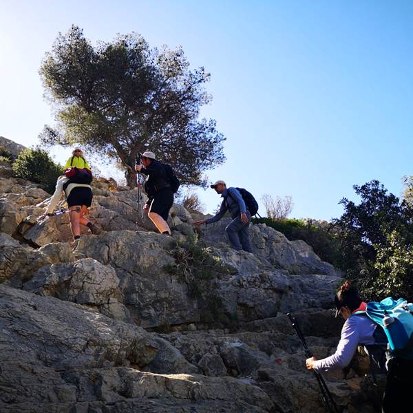 40453f10-584d-4095-b370-37909c5e3dc1-photo-gallery