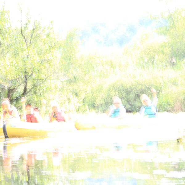 hardinesIMG_7456[1]-photo-gallery