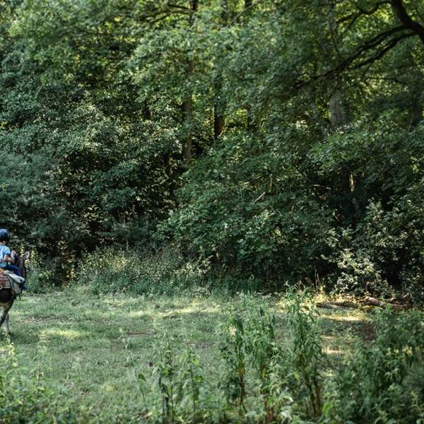 ane-bivouac-hermeton2-photo-gallery