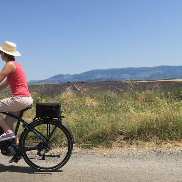 vue d'un ve´lo devant un champs de lavande (1)-photo-gallery