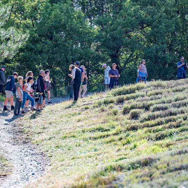 D4V_2025.07.08_Randonne´e-20-photo-gallery