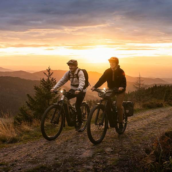 focus_stationsbees_montagne-photo-gallery