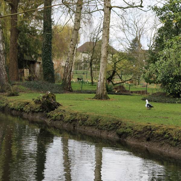 hardinesIMG_7474[1]-photo-gallery