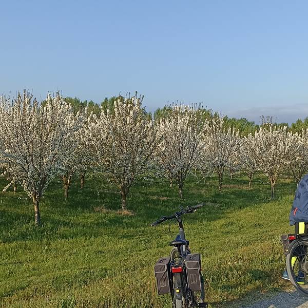 IMG_20250410_084810-photo-gallery