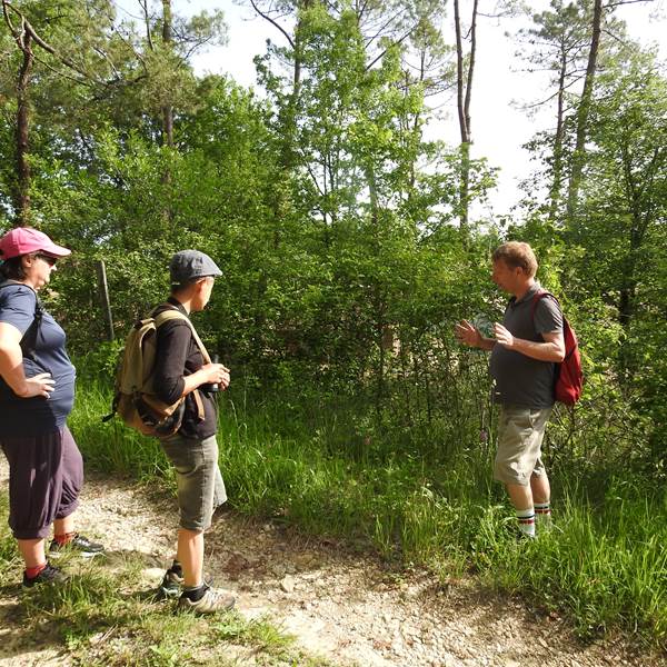 groupe causse2-photo-gallery