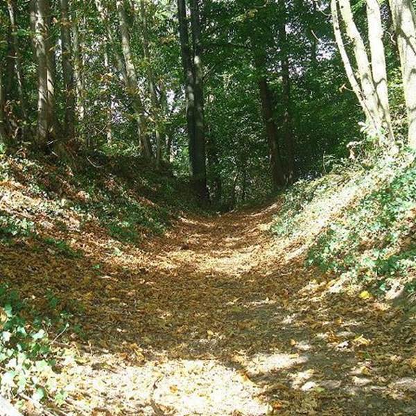 sortie nature sur le circuit pedestre le val d'omignon-photo-gallery