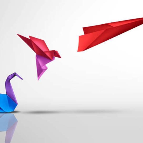 Origami elloha 4-photo-gallery