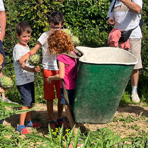 CFF30429-1471-45A0-82B0-90753F0A3442-photo-gallery