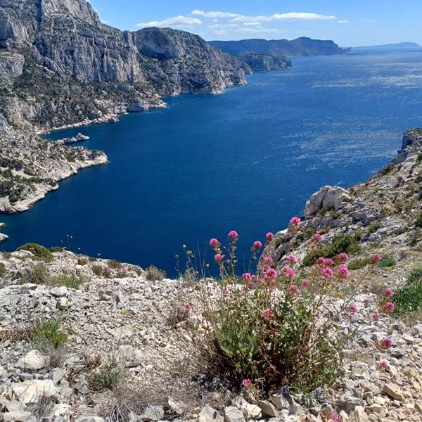 070112bd-9365-4499-9081-f2b1bcc9d39c-photo-gallery