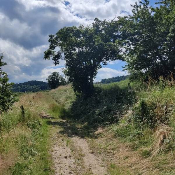 Photo2-photo-gallery