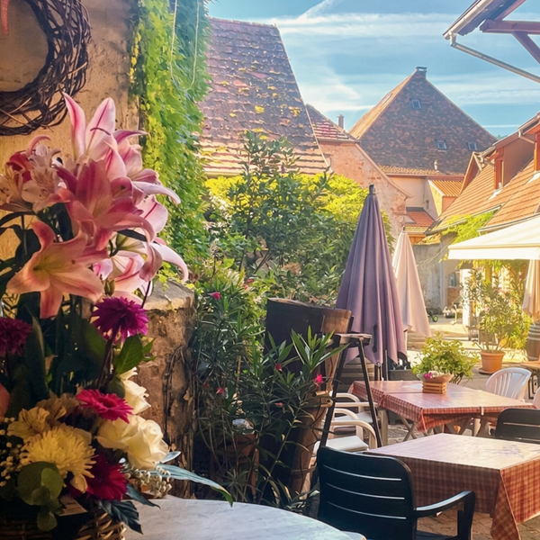 Découverte gourmande-photo-gallery