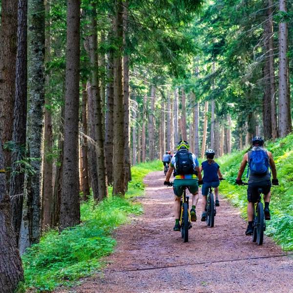 vtt-soreze-pixabay-photo-gallery