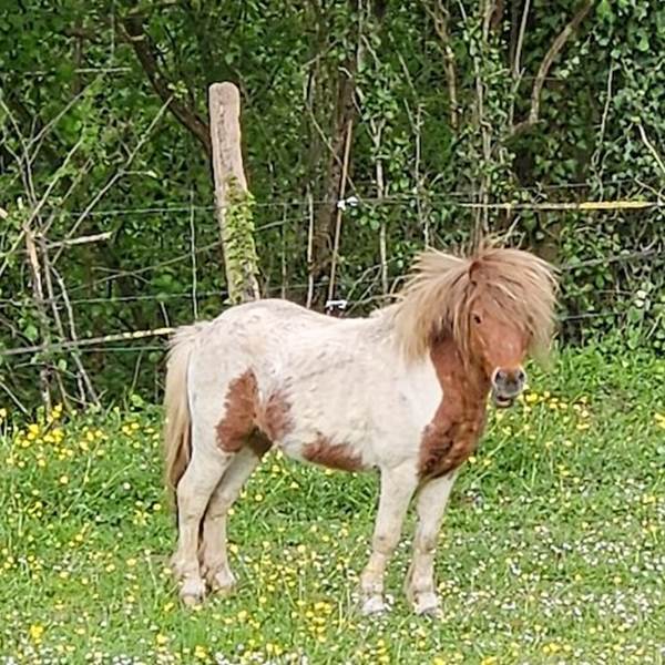 ZjLhjeq5-photo-gallery