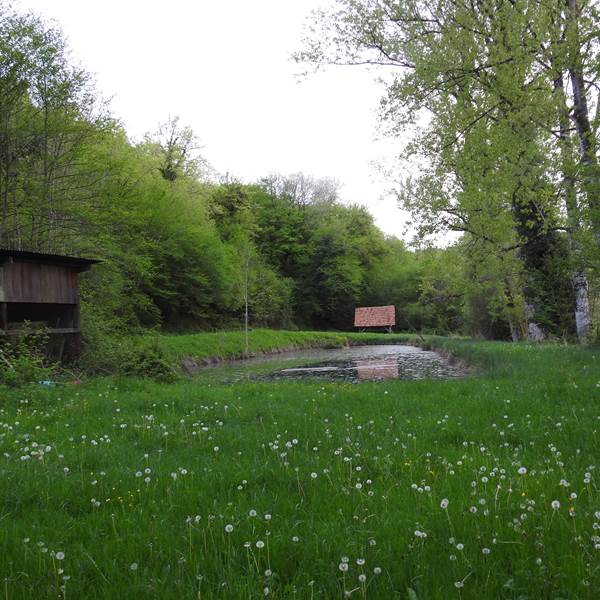 beunes3-photo-gallery