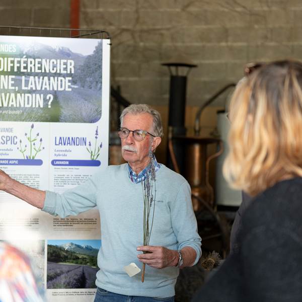 Accueil des visiteurs devant l’entrée de la distillerie de lavande en Drôme-photo-gallery