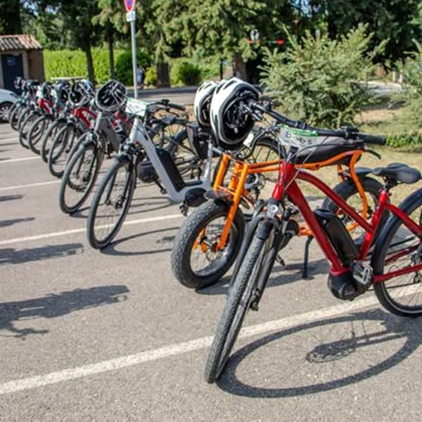 452077507_1040184628108360_2114789562167620031_n-photo-gallery