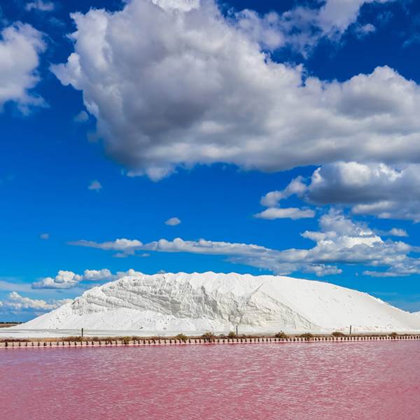 salins-photo-gallery