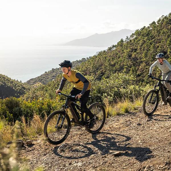 focus_stationsbees_balade-photo-gallery