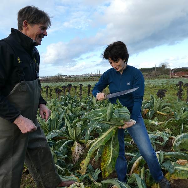 01010263-photo-gallery