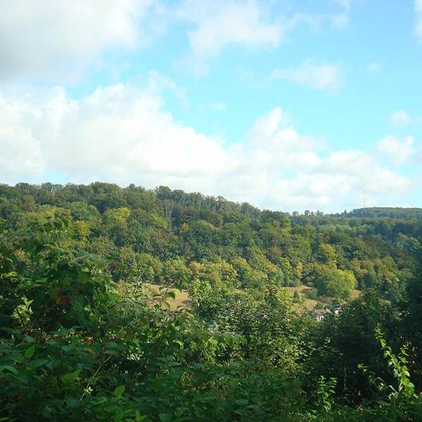 le belvedere du camp cesar-photo-gallery