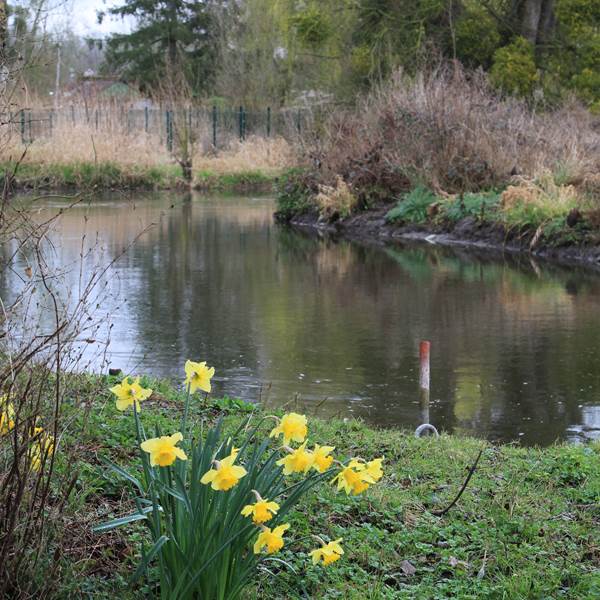 hardinesIMG_7461[1]-photo-gallery