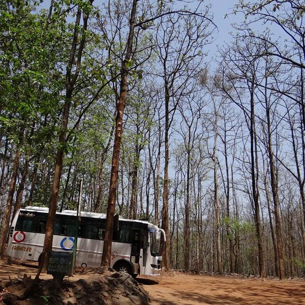 sarangib-bus-171836_1280-photo-gallery