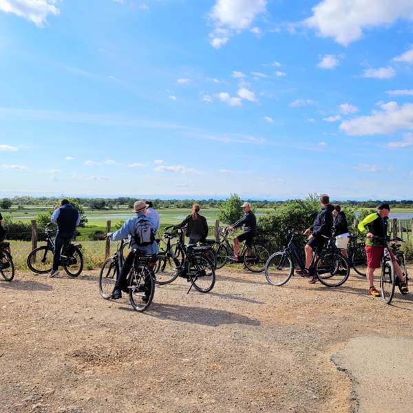 Balade a` ve´lo en Camargue - De´couverte de la nature et des marais-photo-gallery
