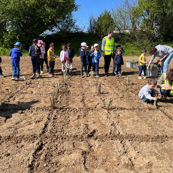 IMG_1084-photo-gallery