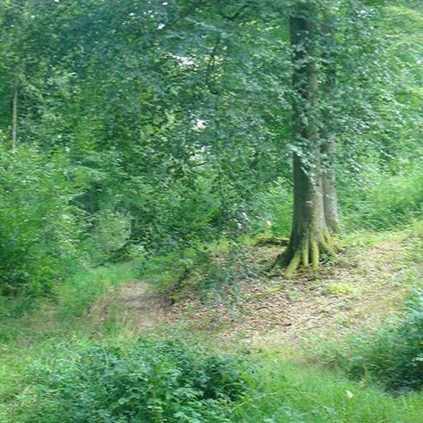 Caulaincourt Trefcon Tertry Cauvigny-photo-gallery