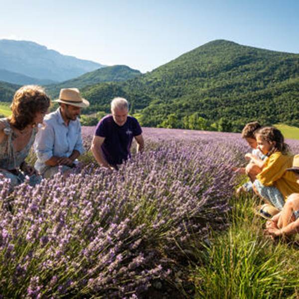 Atelier de distillation-photo-gallery