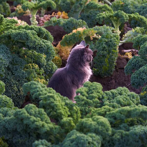 Capture d’e´cran 2026-02-18 a` 12.58.19-photo-gallery