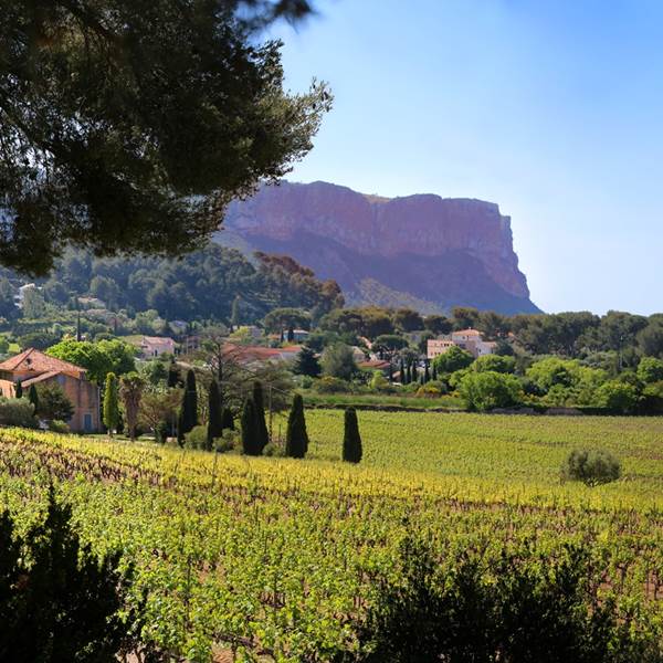 Vignoble Cassis - Youcamp Outdoor-photo-gallery