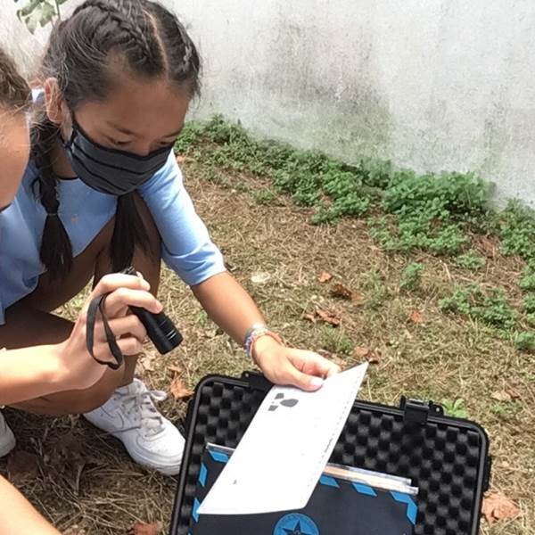une animation unique sur saint martin de ré-photo-gallery