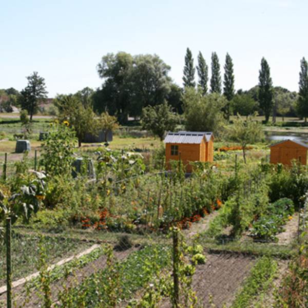 Les-Hardines-1-photo-gallery