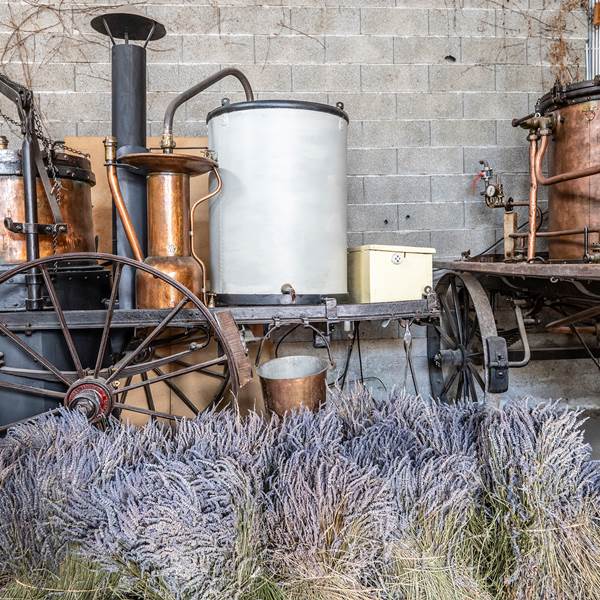 Alambics anciens exposés dans la distillerie-photo-gallery