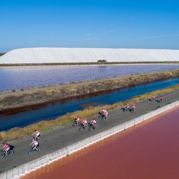 SalinsStationBEES-photo-gallery