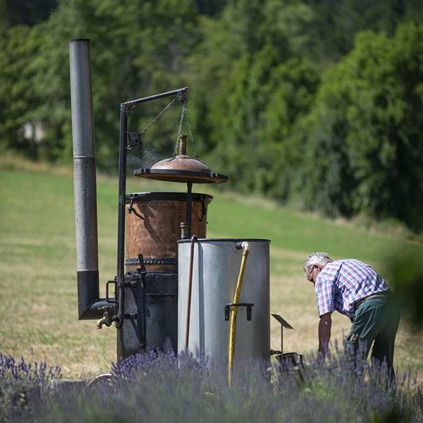 Distillation à l'ancienne-photo-gallery