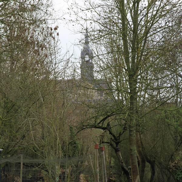 hardinesIMG_7472[1]-photo-gallery