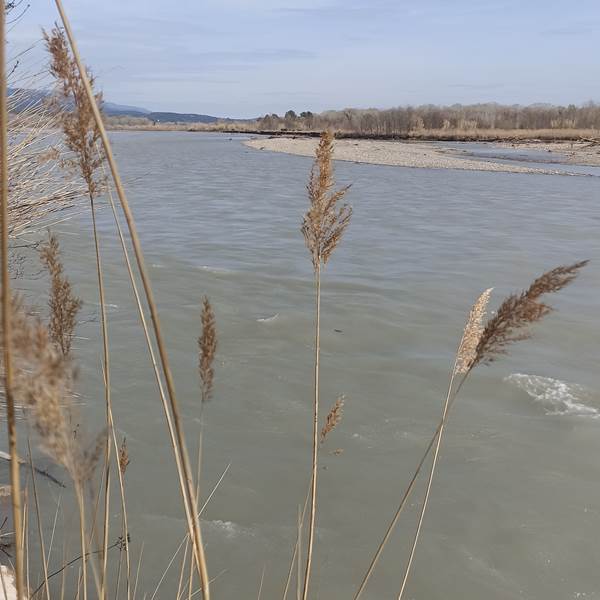 IMG_20240317_144439-photo-gallery