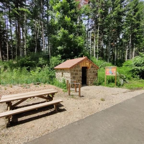 Photo2-photo-gallery