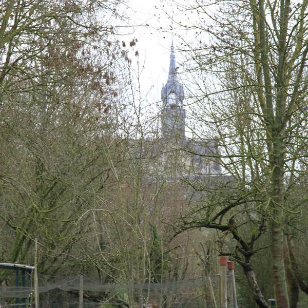 hardinesIMG_7471[1]-photo-gallery