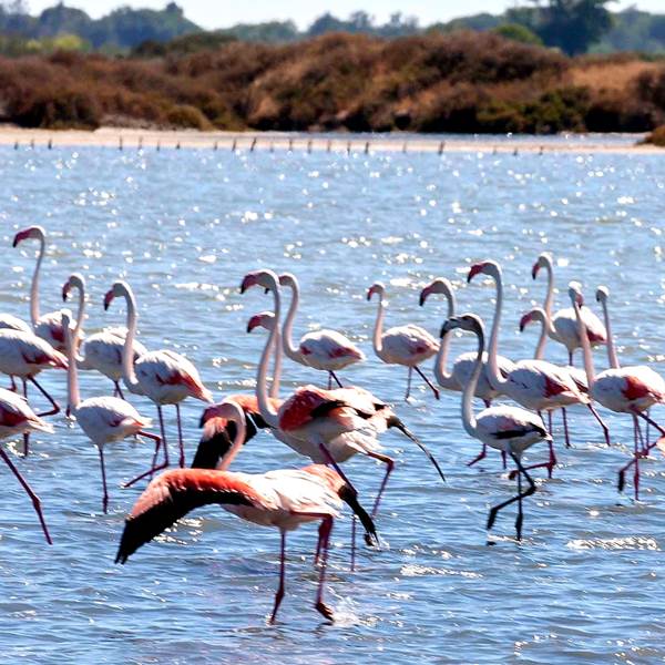 Biodiversite13-photo-gallery