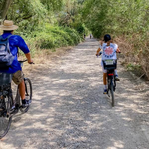 Randonne´e a` ve´lo e´lectrique en Camargue - Immersion au cœur de la nature-photo-gallery